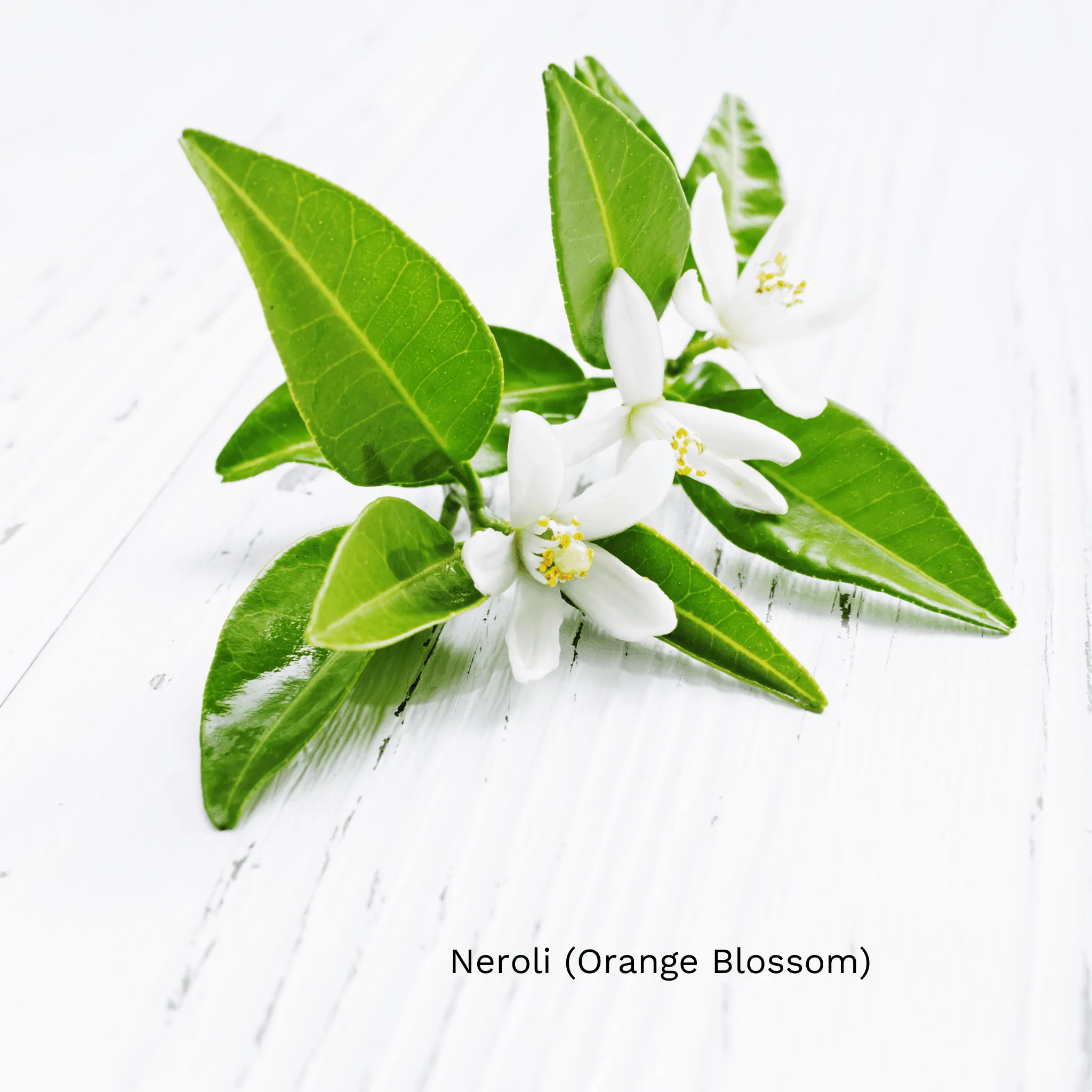 RevitaLuxe Radiance Serum